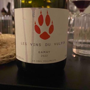 Gamay - Maison Vulpin - Jordi Renard 