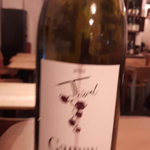 Gamay - Domaine de Trivel - Sidonie Joggerst & Thomas Guillon 