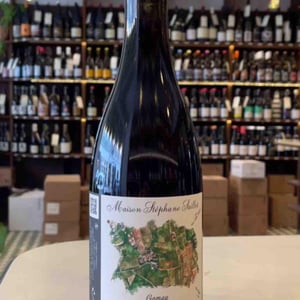 Gamay 2021 - Maison Stéphane Saillet - Stéphane Saillet 
