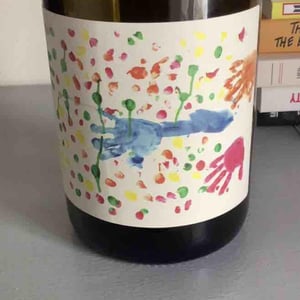 Gamay - Domaine de la Renardière - Jean-Michel, Laurence et Leo Petit -2021