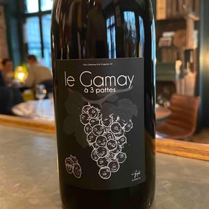 Gamay à 3 Pattes - Marc Delienne - marc-delienne -2020