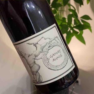 Jean-Christophe Garnier - Jean-Christophe Garnier - Gamay Aunis