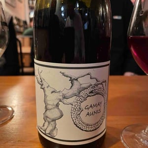 Gamay Aunis - Jean-Christophe Garnier - jean-christophe-garnier