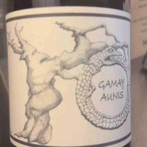 Gamay Aunis - Jean-Christophe Garnier - Jean-Christophe Garnier