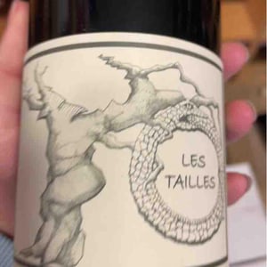Gamay Aunis - Jean-Christophe Garnier - jean-christophe-garnier
