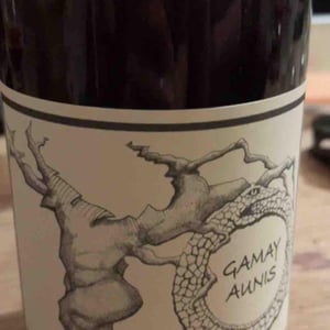 Jean-Christophe Garnier - Jean-Christophe Garnier - Gamay Aunis