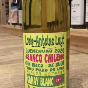 Gamay Blanc - Agricola Luyt - Louis-Antoine Luyt -2020