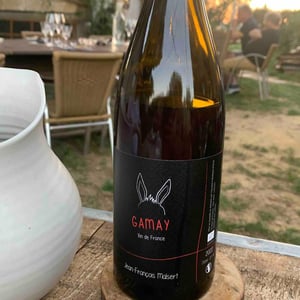 Gamay - Domaine de l'Iserand - Jean-François Malsert 