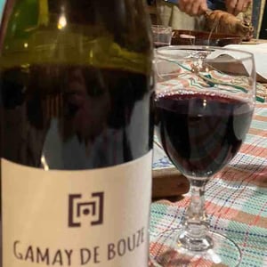 Gamay De Bouze - Les Terres Blanches - Celine & Benoit Blet -2019