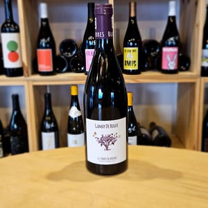 Gamay De Bouze - Les Terres Blanches - celine-benoit-blet -2019