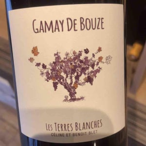 Gamay De Bouze - Les Terres Blanches - celine-benoit-blet -2019