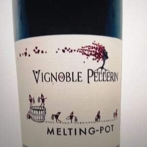 Gamay - Vignoble Pellerin - Jean-Christophe, Baptiste & Lucien Pellerin 