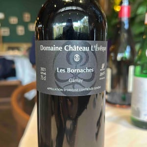 Gamay « Les Bornaches » - Domaine Château L'Evêque - martine-et-alexandre-mevaux