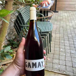 Gamay (new label) - Domaine Régnier-David - jean-francois-regnier