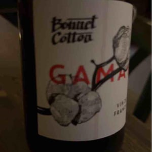 Gamay - Bonnet-Cotton - Marine Bonnet & Pierre Cotton 