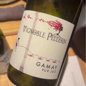 Gamay Pur Jus - Vignoble Pellerin - Jean-Christophe, Baptiste & Lucien Pellerin -2020