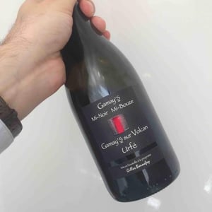 Gamay’s Mi-noir Mi-Bouze - Vins de la Madone - Gilles Bonnefoy 