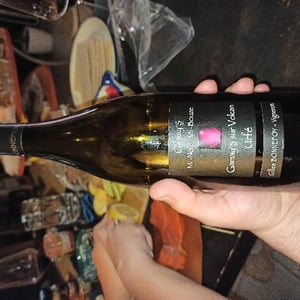 Gamay’s Mi-noir Mi-Bouze - Vins de la Madone - Gilles Bonnefoy 