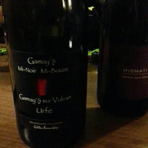 Vins de la Madone - Gilles Bonnefoy - Gamay’s Mi-noir Mi-Bouze