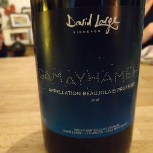 Gamayhameha - David Large - celia-rostand-et-david-large