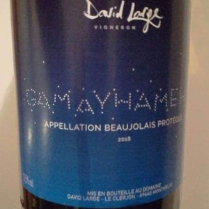 David Large - Célia Rostand et David Large - Gamayhameha