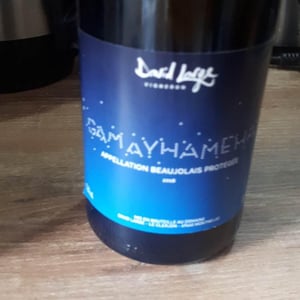Gamayhameha - David Large - celia-rostand-et-david-large