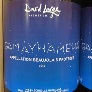 Gamayhameha - David Large - celia-rostand-et-david-large