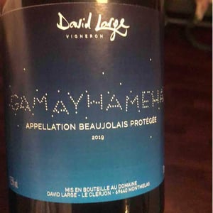 Gamayhameha - David Large - celia-rostand-et-david-large
