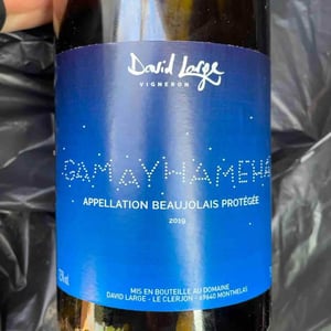 Gamayhameha - David Large - celia-rostand-et-david-large