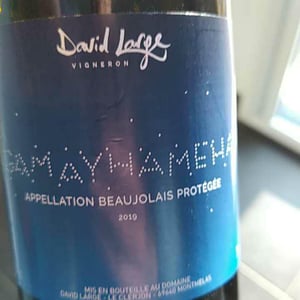 Gamayhameha - David Large - celia-rostand-et-david-large