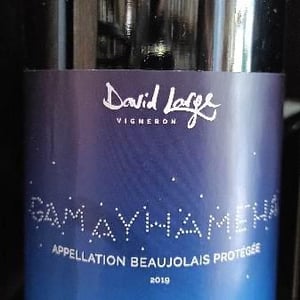 Gamayhameha - David Large - Célia Rostand et David Large 