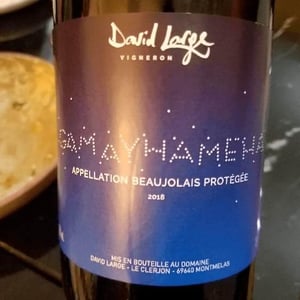 David Large - Célia Rostand et David Large - Gamayhameha