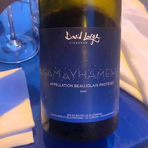 Gamayhameha - David Large - Célia Rostand et David Large 