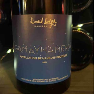 Gamayhameha - David Large - celia-rostand-et-david-large