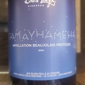 Gamayhameha - David Large - celia-rostand-et-david-large