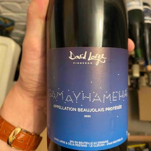 Gamayhameha - David Large - Célia Rostand et David Large 