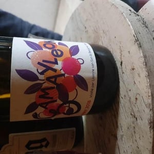 Gamayleon - Sonser Vins (CLOSED) - Lisanne Van Son & Benjamin Serer 