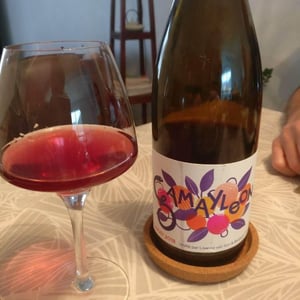 Gamayleon - Sonser Vins (CLOSED) - Lisanne Van Son & Benjamin Serer 