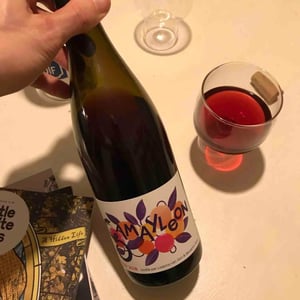 Gamayleon - Sonser Vins (CLOSED) - Lisanne Van Son & Benjamin Serer 