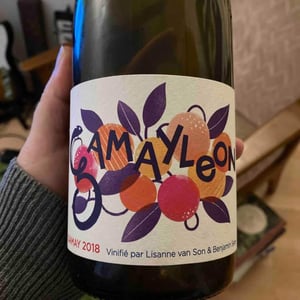 Gamayleon - Sonser Vins (CLOSED) - lisanne-van-son-benjamin-serer