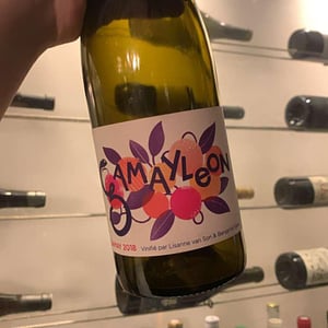 Gamayleon - Sonser Vins (CLOSED) - Lisanne Van Son & Benjamin Serer 