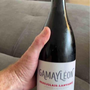 Gamayleon - Domaine de l'Épicurieux - Charlotte & Sébastien Congretel 