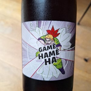 Gamé Hamé Ha - Domaine des 2 Fauves - laura-soldan-charles-henri-quantin -2022
