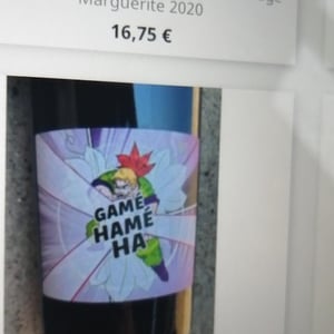 Gamé Hamé Ha - Domaine des 2 Fauves - Laura Soldan & Charles Henri Quantin -2022