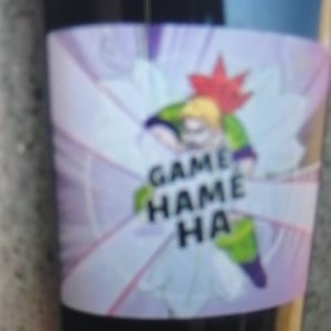 Gamé Hamé Ha - Domaine des 2 Fauves - Laura Soldan & Charles Henri Quantin -2022