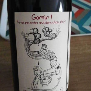 François Saint-Lô - François Saint-Lô - Hey Gamin! (2020 label)