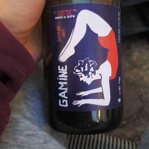 Domaine de la Cure - Fabrice Le Glatin - Gamine