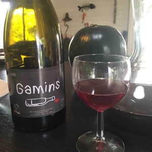 Gamins - Domaine de la Petite Soeur - adrien-de-mello