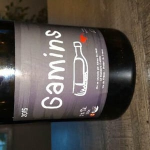Domaine de la Petite Soeur - Adrien de Mello - Gamins