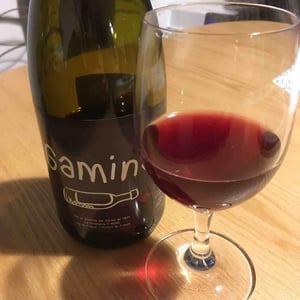 Domaine de la Petite Soeur - Adrien de Mello - Gamins